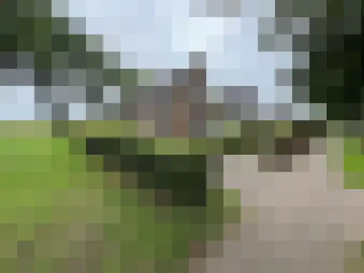 Zuideinde 1 Exloo thumbnail 21