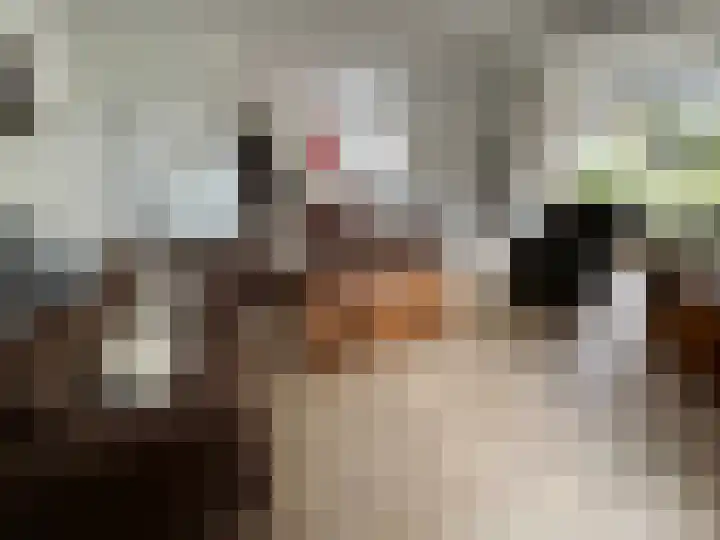 Zuideinde 1 Exloo thumbnail 23