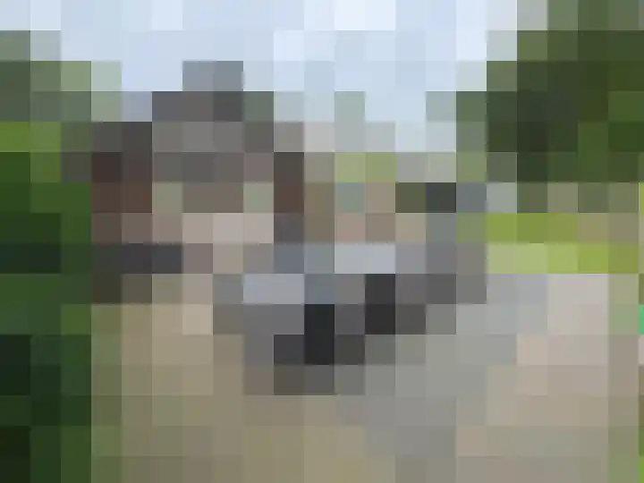Zuideinde 1 Exloo thumbnail 25