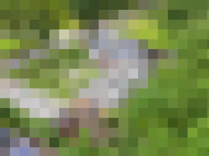 Zuideinde 1 Exloo thumbnail 28