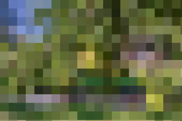 Zuideinde 10 Aarlanderveen thumbnail 10