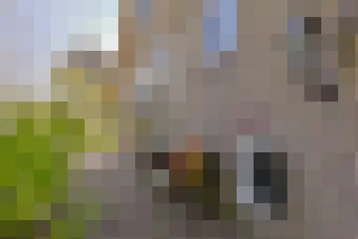 Zuideinde 10 Aarlanderveen thumbnail 11