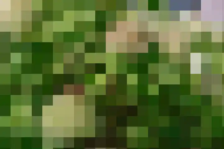 Zuideinde 10 Aarlanderveen thumbnail 12