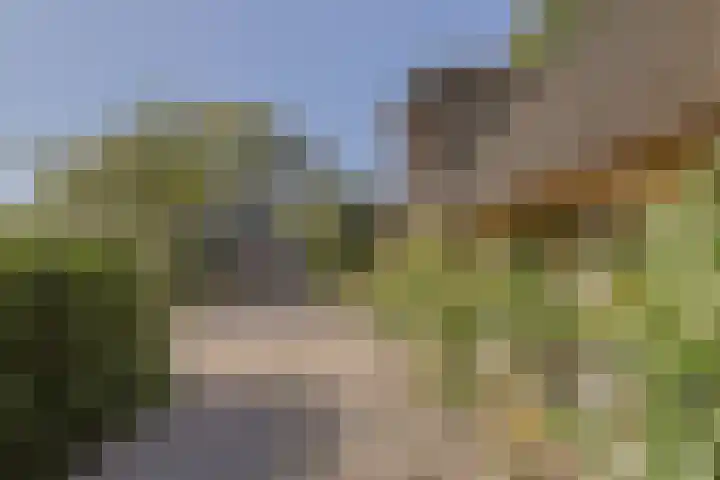Zuideinde 10 Aarlanderveen thumbnail 13