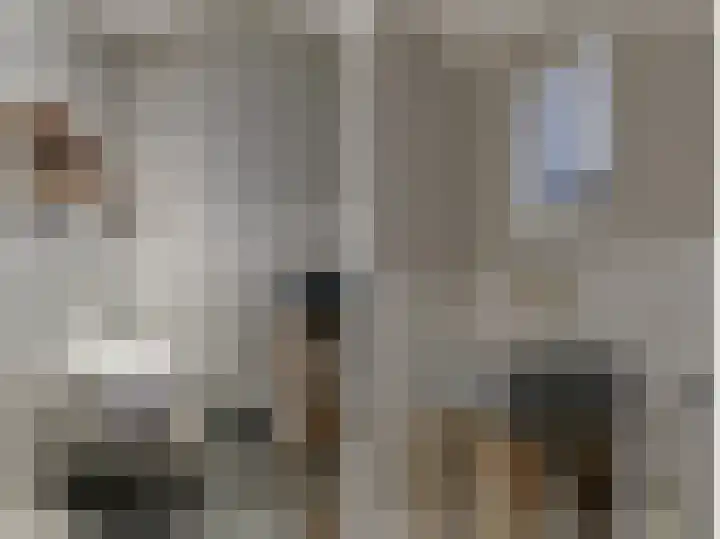 Zuideinde 10 Aarlanderveen thumbnail 16