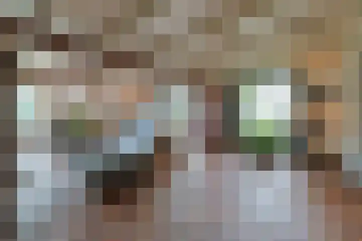 Zuideinde 10 Aarlanderveen thumbnail 17