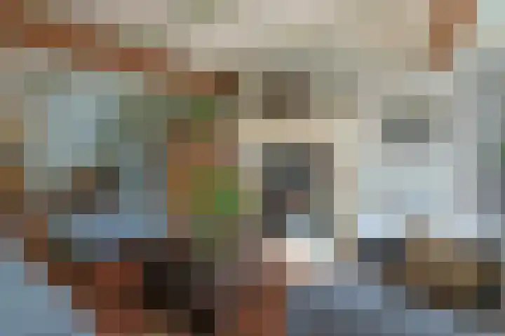 Zuideinde 10 Aarlanderveen thumbnail 18