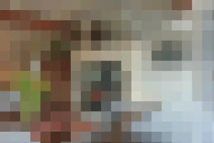 Zuideinde 10 Aarlanderveen thumbnail 19