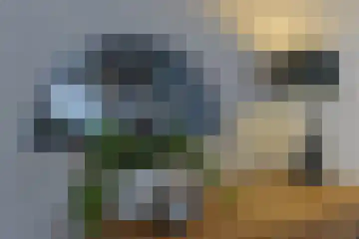 Zuideinde 10 Aarlanderveen thumbnail 23