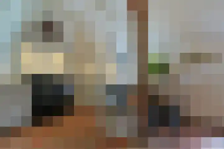 Zuideinde 10 Aarlanderveen thumbnail 28