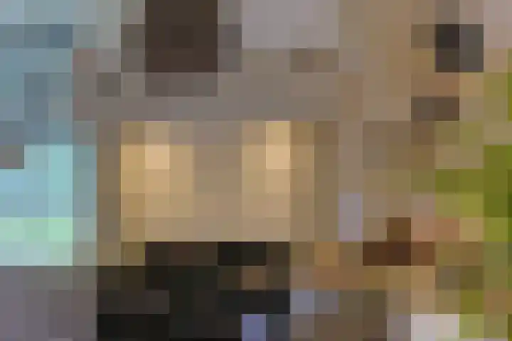 Zuideinde 10 Aarlanderveen thumbnail 29