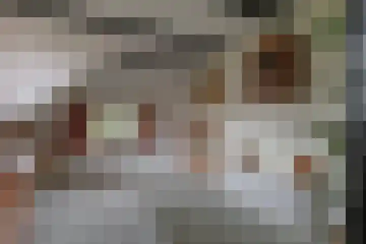 Zuideinde 10 Aarlanderveen thumbnail 33