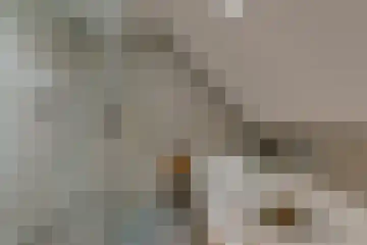 Zuideinde 10 Aarlanderveen thumbnail 36