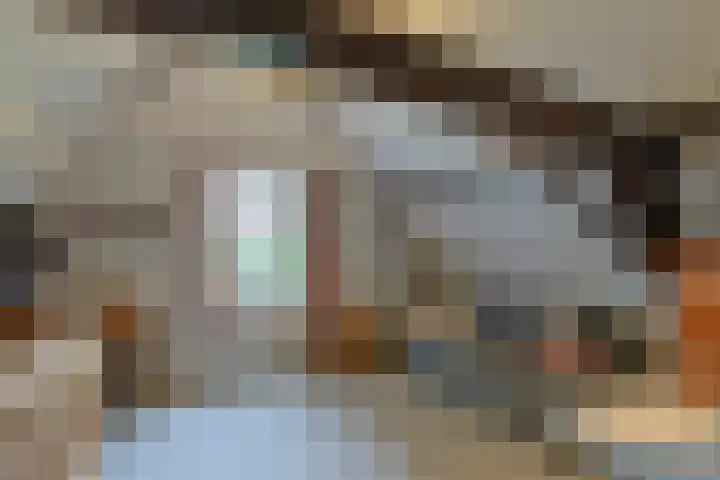 Zuideinde 10 Aarlanderveen thumbnail 39