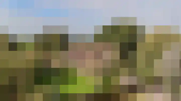 Zuideinde 10 Aarlanderveen thumbnail 4