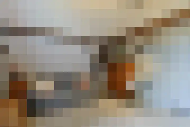 Zuideinde 10 Aarlanderveen thumbnail 40