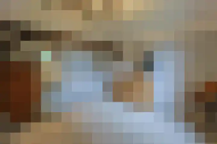 Zuideinde 10 Aarlanderveen thumbnail 41