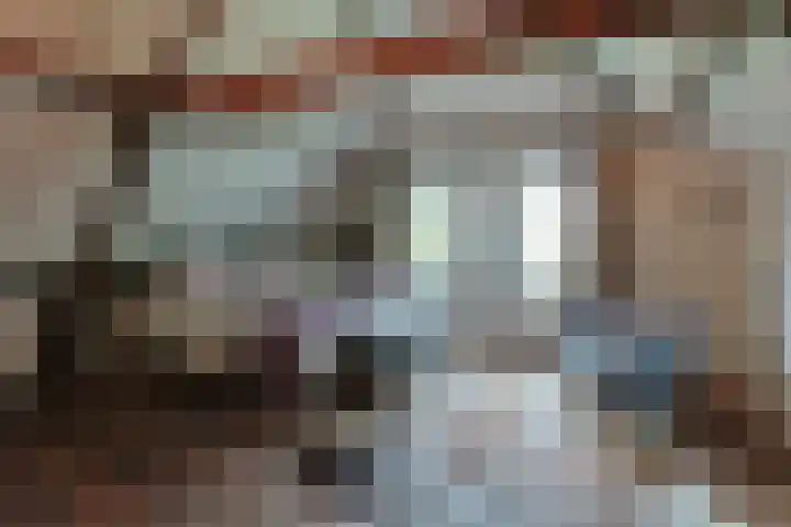 Zuideinde 10 Aarlanderveen thumbnail 42