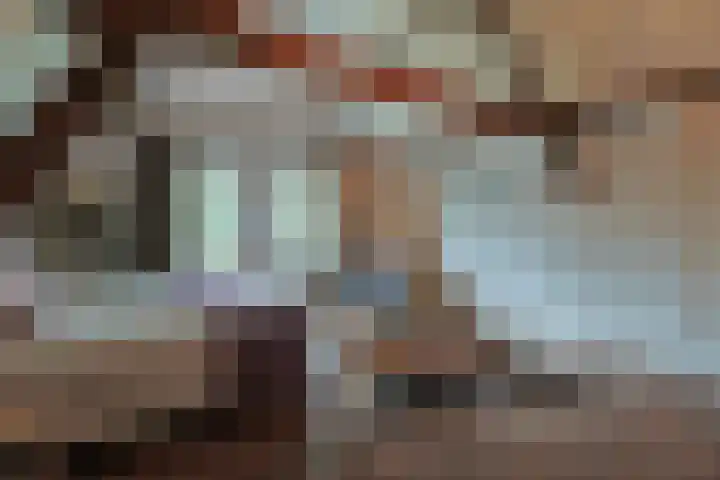 Zuideinde 10 Aarlanderveen thumbnail 43