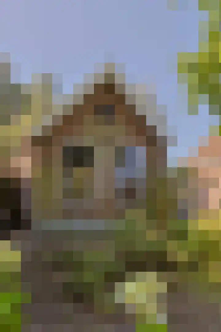 Zuideinde 10 Aarlanderveen thumbnail 45