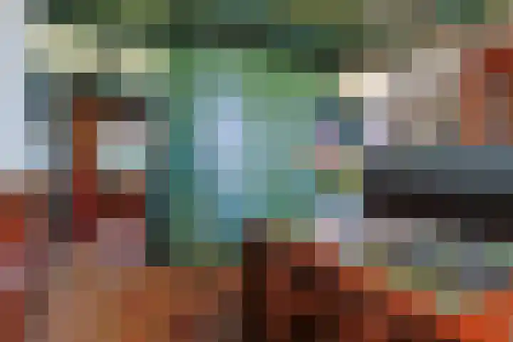 Zuideinde 10 Aarlanderveen thumbnail 49
