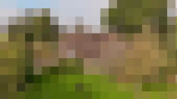 Zuideinde 10 Aarlanderveen thumbnail 5
