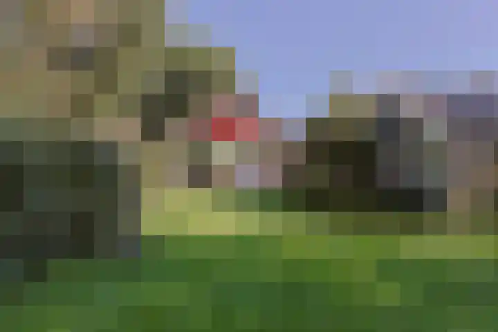 Zuideinde 10 Aarlanderveen thumbnail 52