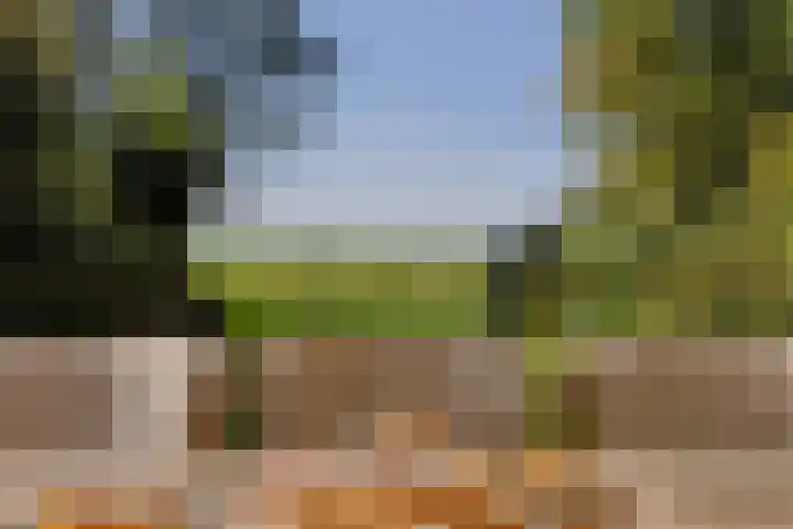 Zuideinde 10 Aarlanderveen thumbnail 55