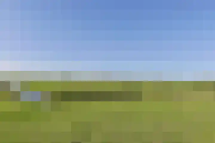 Zuideinde 10 Aarlanderveen thumbnail 56