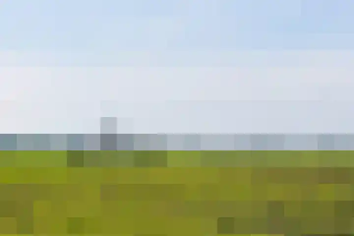 Zuideinde 10 Aarlanderveen thumbnail 57