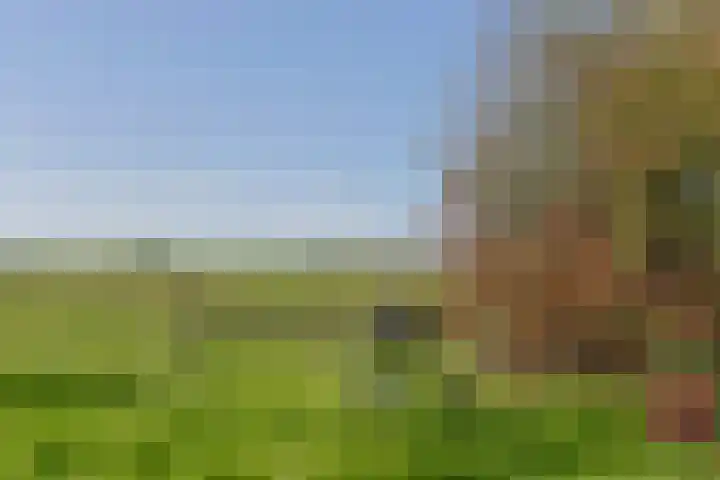 Zuideinde 10 Aarlanderveen thumbnail 58