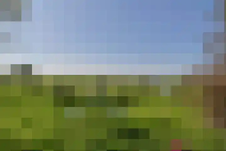 Zuideinde 10 Aarlanderveen thumbnail 59