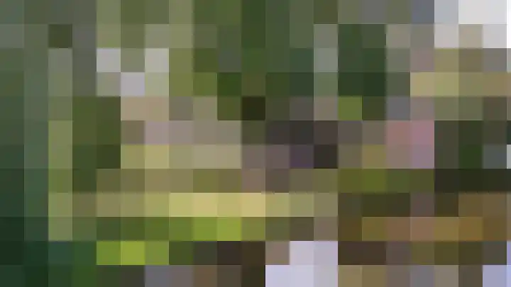 Zuideinde 10 Aarlanderveen thumbnail 6