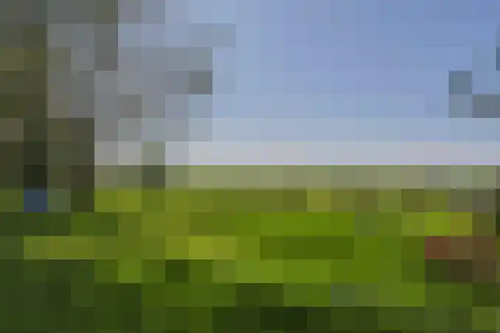 Zuideinde 10 Aarlanderveen thumbnail 60