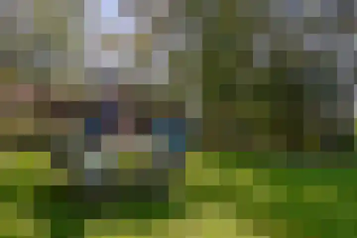 Zuideinde 10 Aarlanderveen thumbnail 62