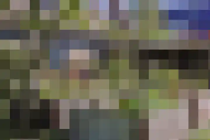 Zuideinde 10 Aarlanderveen thumbnail 64