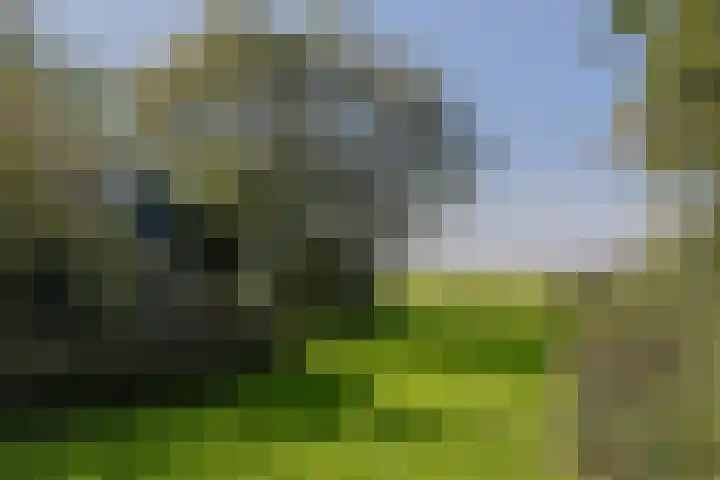 Zuideinde 10 Aarlanderveen thumbnail 66