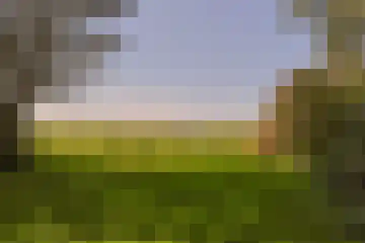 Zuideinde 10 Aarlanderveen thumbnail 67