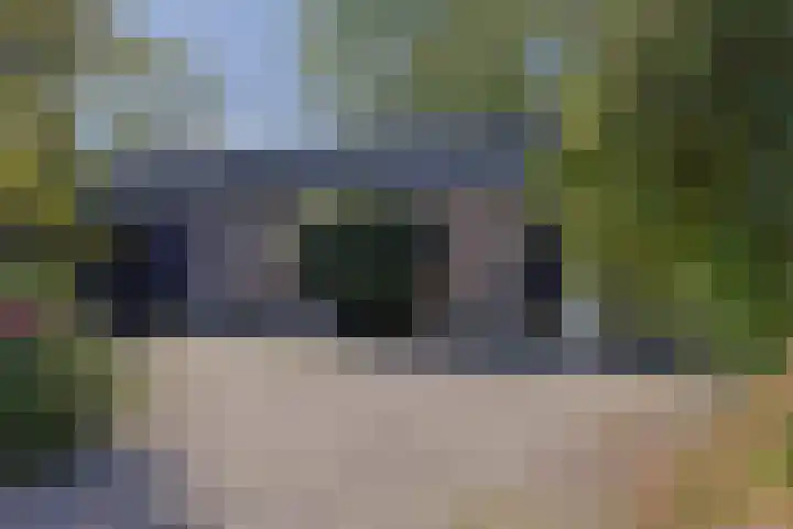 Zuideinde 10 Aarlanderveen thumbnail 68