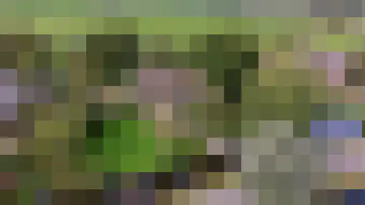 Zuideinde 10 Aarlanderveen thumbnail 7