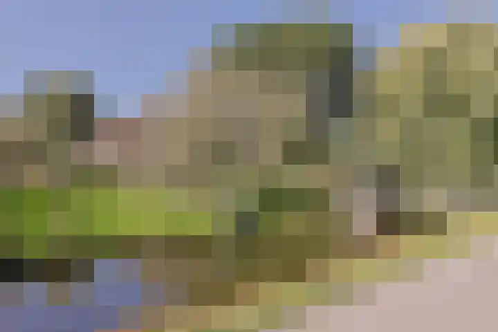 Zuideinde 10 Aarlanderveen thumbnail 8