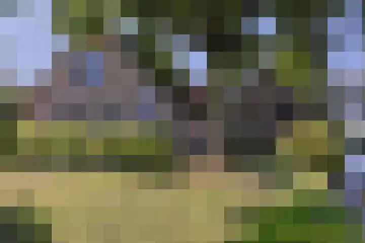 Zuideinde 10 Aarlanderveen thumbnail 9