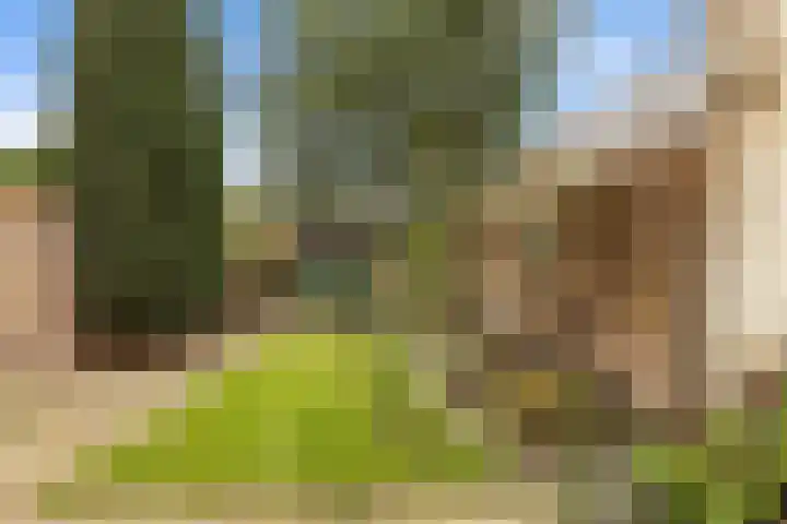 Zuideinde 10 Monnickendam thumbnail 14