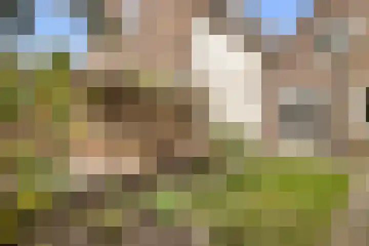 Zuideinde 10 Monnickendam thumbnail 16