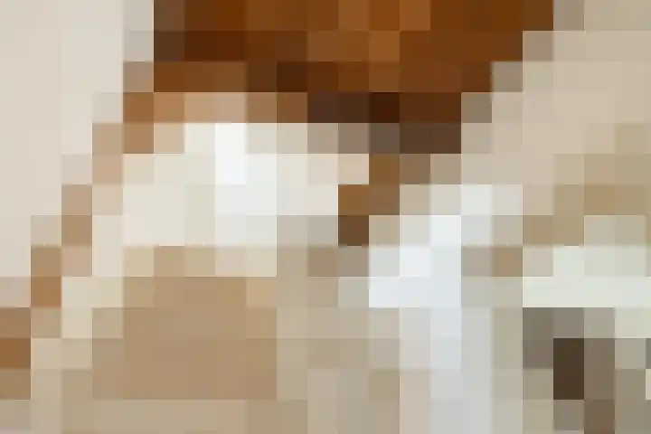 Zuideinde 10 Monnickendam thumbnail 22