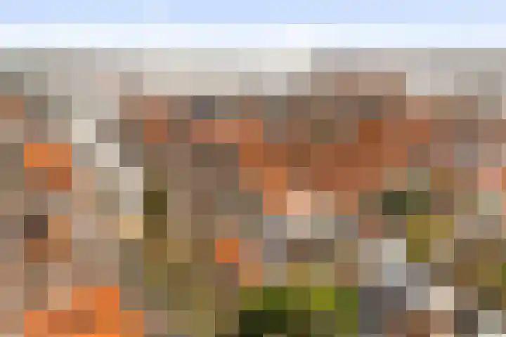 Zuideinde 10 Monnickendam thumbnail 37