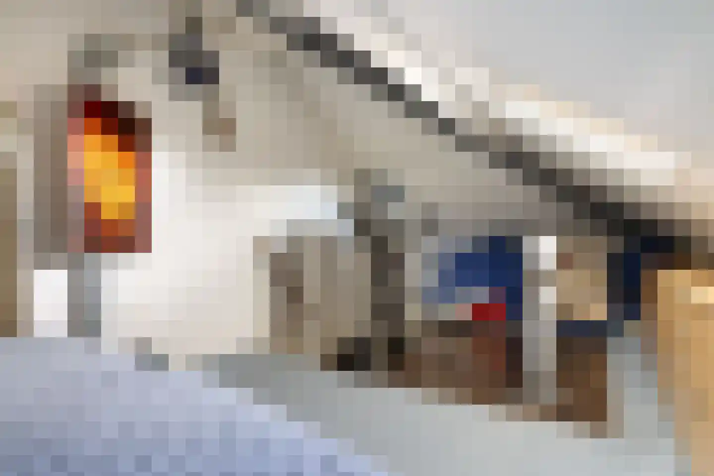 Zuideinde 108 c Oostzaan thumbnail 46