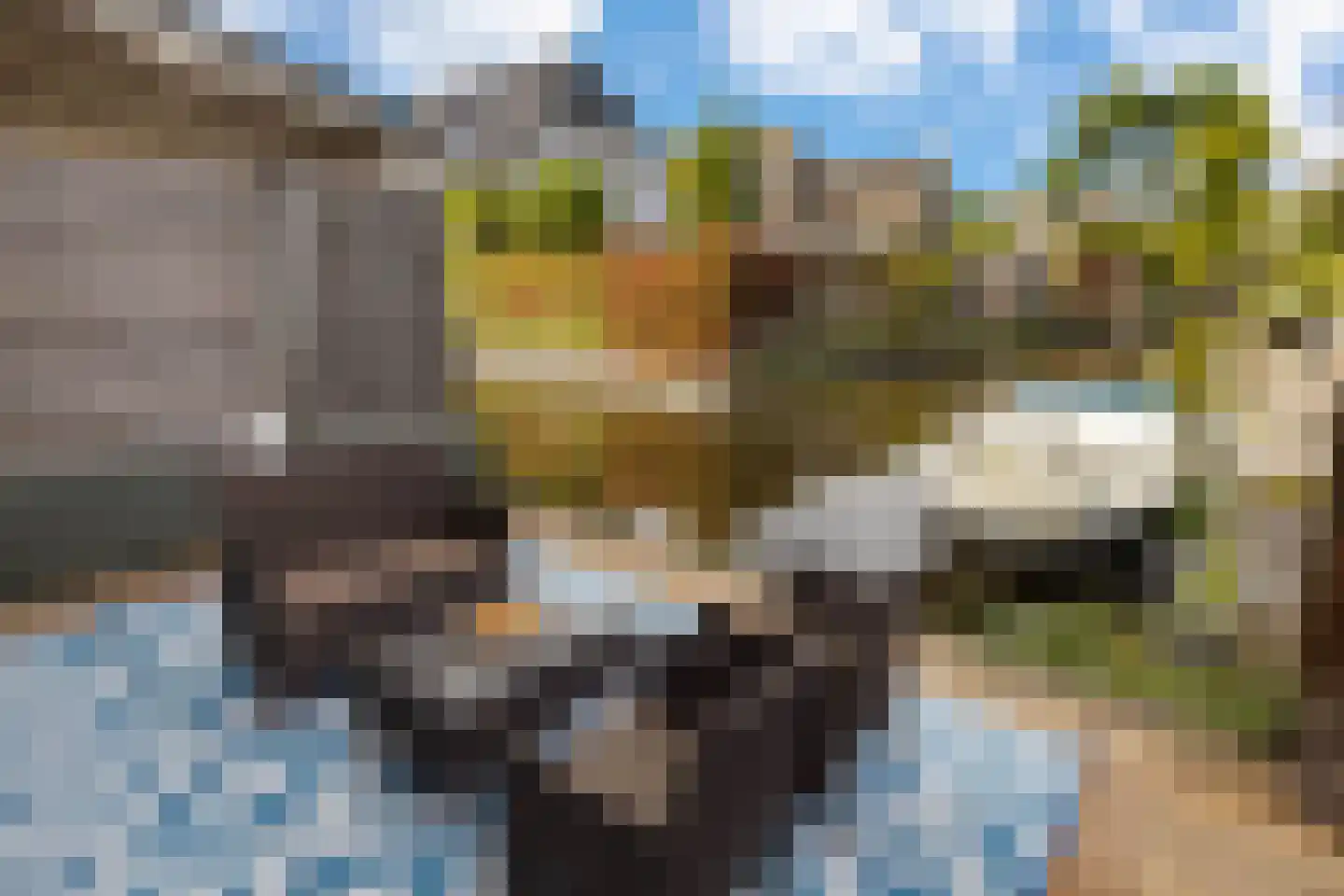 Zuideinde 108 c Oostzaan thumbnail 49