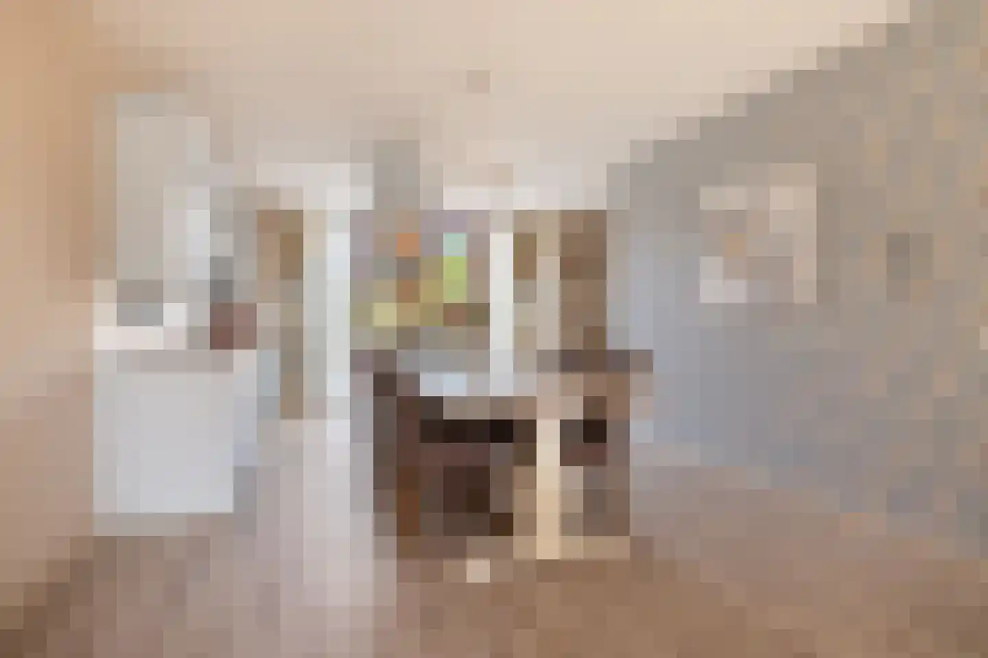 Zuideinde 108 c Oostzaan thumbnail 6