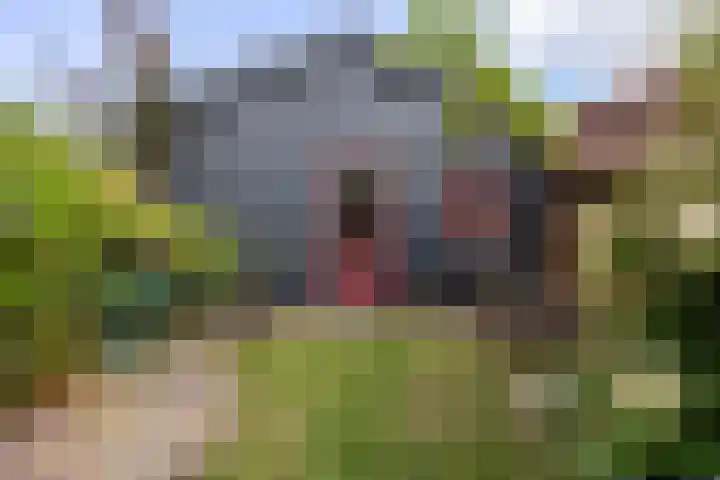 Zuideinde 108 Westzaan thumbnail 12